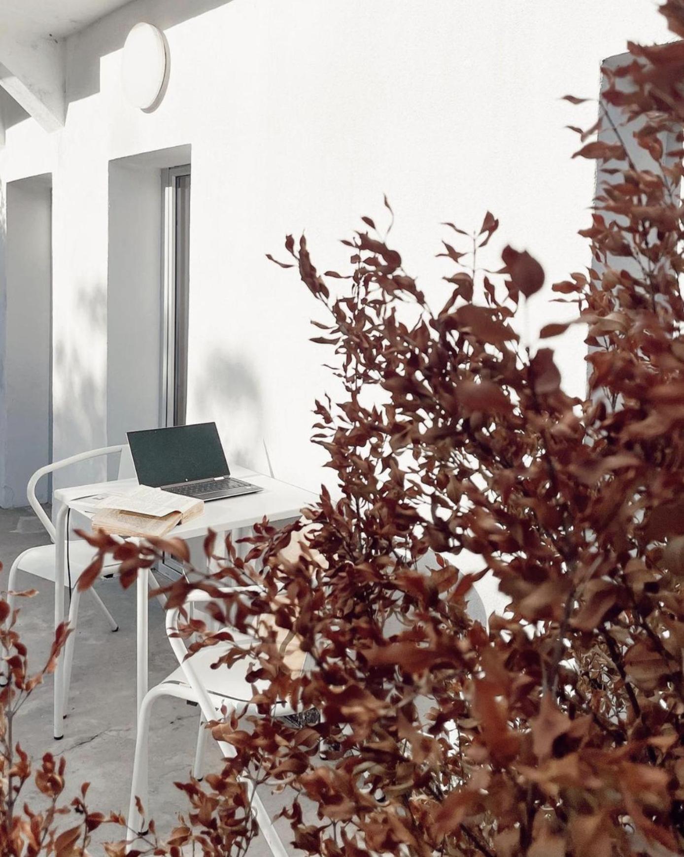 Apartmán Cozy Lisbon Graca Exteriér fotografie