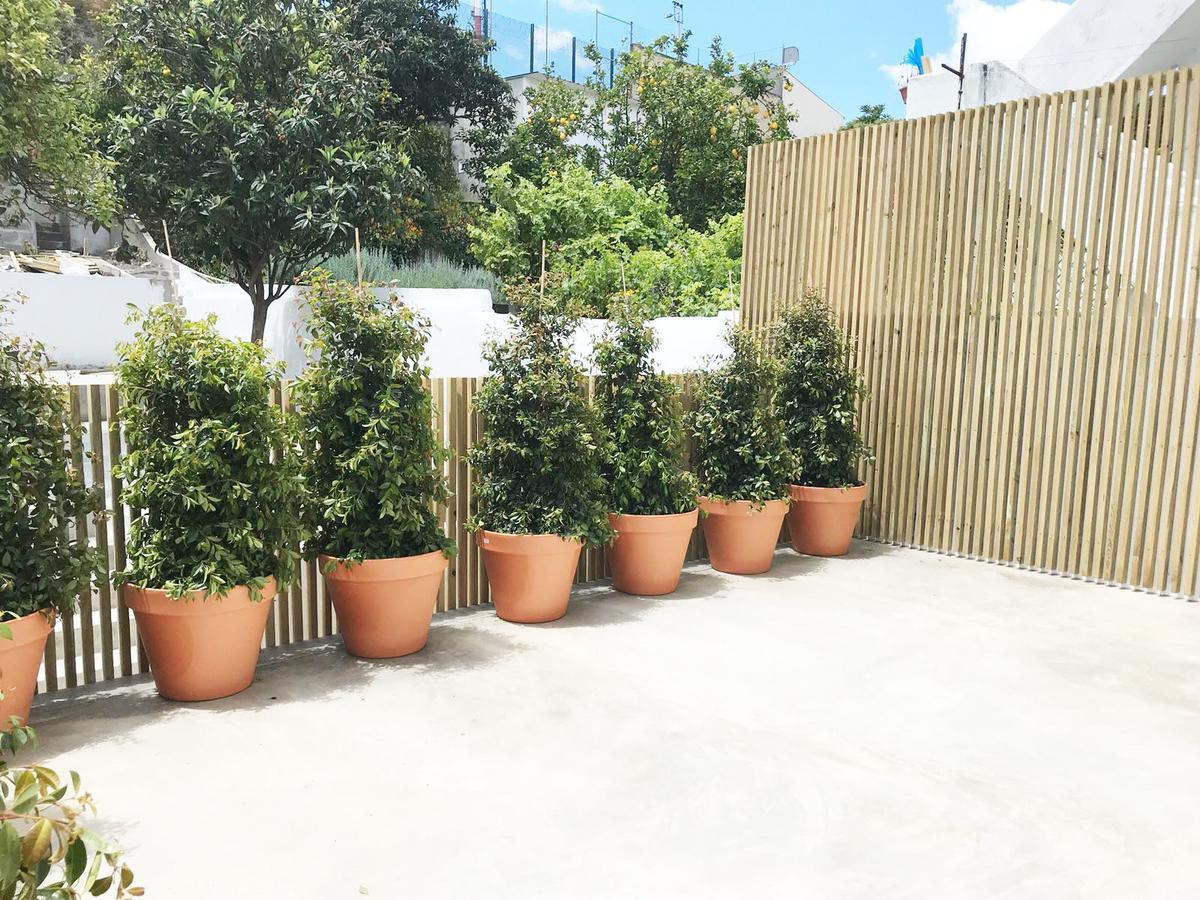 Apartmán Cozy Lisbon Graca Exteriér fotografie